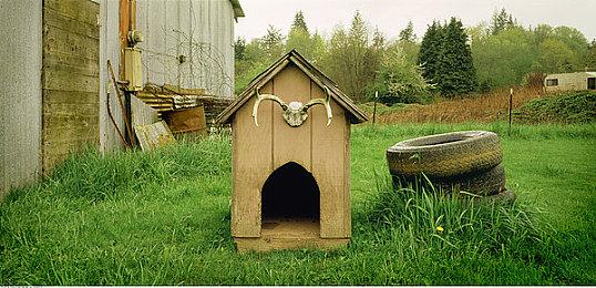 《九阴真经：武侠》实机画面：虚幻5打造 偏单机体验